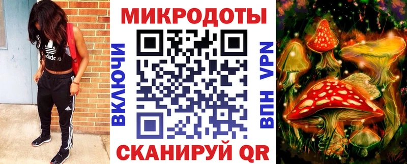 сайты даркнета Telegram  наркота  Каменногорск  Псилоцибиновые грибы прущие грибы 